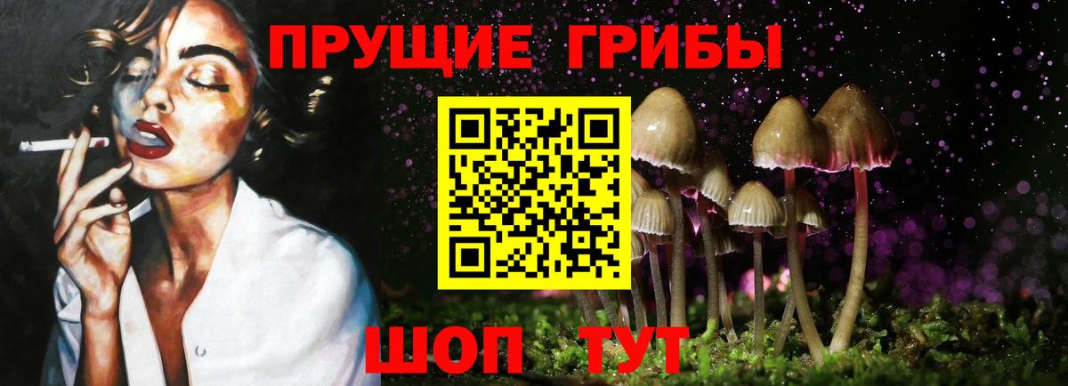 Псилоцибиновые грибы мицелий Севастополь